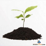 Чернозем - Строительные материалы в Перми купить с доставкой